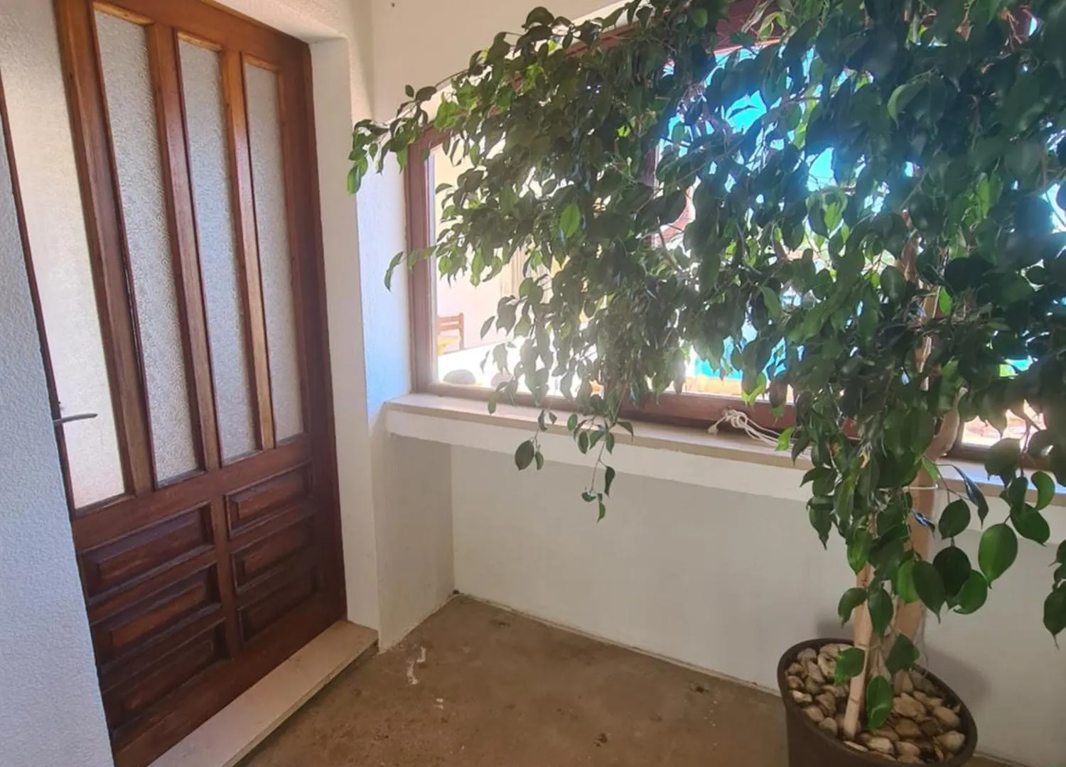Apartment Zaglav 4 - First Sea Row